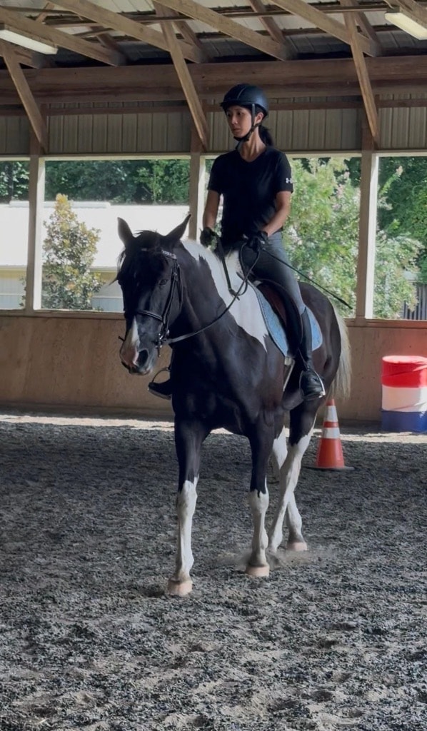Rider on horse in arena at Westbrook Farm