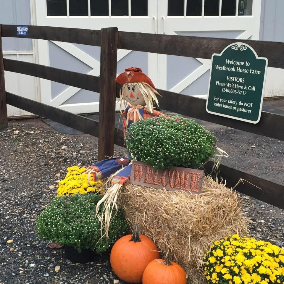 Welcome to Westbrook Horse Farm entrance with scarecrow and pumpkins