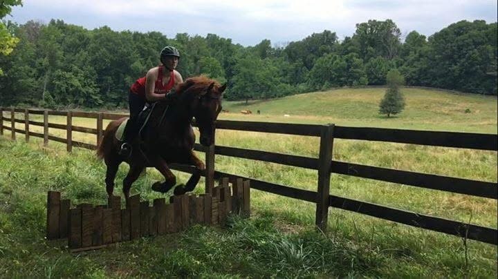 Horse jumping fence in pasture at Westbrook