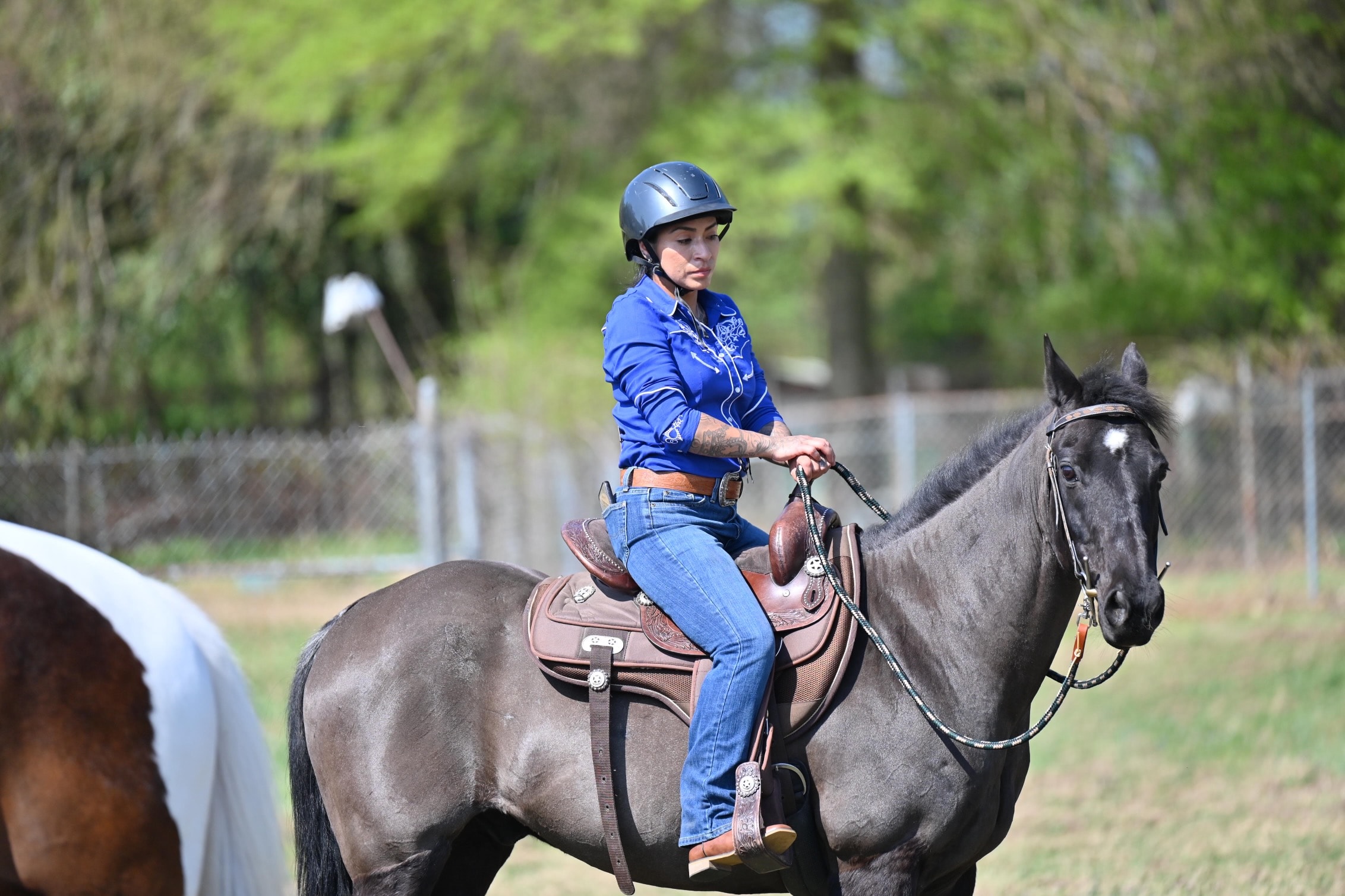 Rider on dark horse at Westbrook Farm