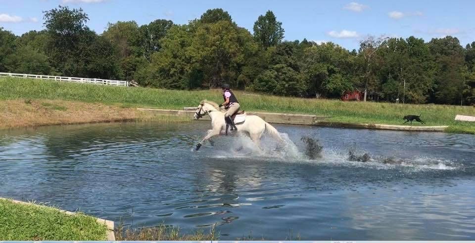 Horse and rider splashing through water obstacle